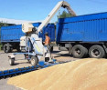 O lançador de grãos PZM-120M carrega grãos num camião, foto