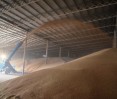 déplacer le grain avec lanceur de grain pzm-120m mouvement du grain dans l'entrepôt avec un lanceur de grain pzm-120m, photo