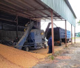 Self-propelled grain cleaning machine OBC-70M4 Self-propelled grain cleaning machine OBC-70M4, photo