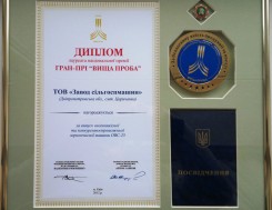 Диплом, знак и медаль лауреата национальной премии гран-при " Высшая проба" Диплом, знак и медаль лауреата национальной премии гран-при " Высшая проба", фото
